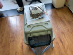 -Bastet sally猫舍购宠(静安店)