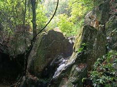 -南丹山森林王国