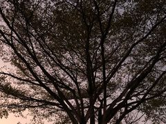 -深圳欢乐谷