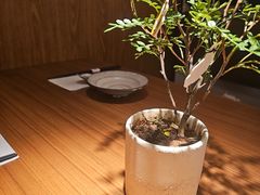-CURRY YA 熟成咖哩專門店(深圳湾万象城店)