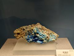 -贵州省地质博物馆