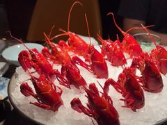 -新荣记(BFC外滩金融中心店)