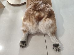 -平行世界·猫咖(首经贸店)