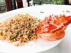 -侨美·唐荔园·40年地道粤菜