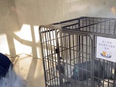 -阿那亚第六食堂(文创街区店)