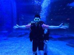 -烟台海昌鲸鲨海洋公园