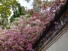 -深圳国际园林花卉博览园