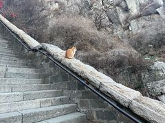 -泰山风景名胜区