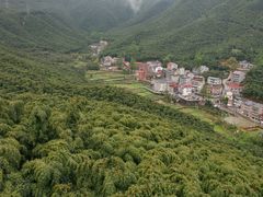 -宁波浙东大竹海景区