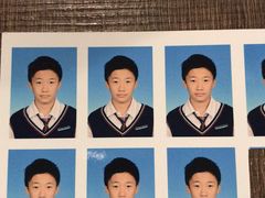 火烈鸟-随心小姐