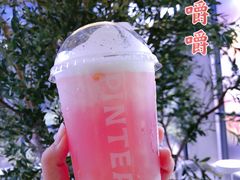 -PINTEA LAB(北京路店)