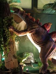 -恐龙探索乐园(磁器口店)