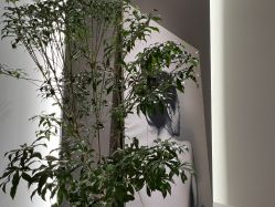 -LB·海菲秀牛奶光官方体验中心