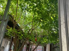 -VOYAGE COFFEE(杨梅竹店)
