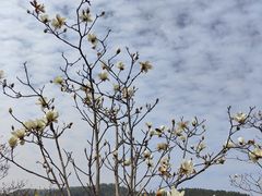 -中国移动南方基地