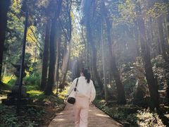 -上色见熊野座神社