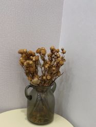 -加减美医美连锁品牌