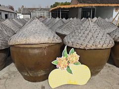 -苏州市吴中区光福窑上花果蜜饯厂