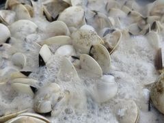 -顺德哥卜卜贝(旗舰店)