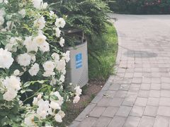 -北极寺公园