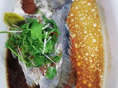 清蒸海鱼-鹏城人家海鲜酒家·23年老字号(较场尾店)