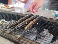 -吴淞炮台湾湿地森林公园烧烤区