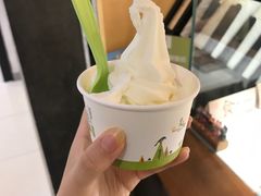 -三佰瑞冻酸奶(凯德MALL店)