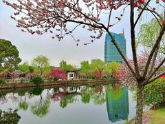 -无锡蠡湖国家湿地公园-蠡园