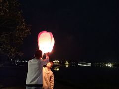 -官亭林海