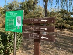 -绿堤公园