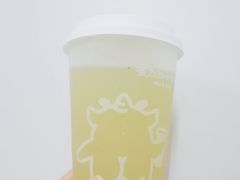 铁观音油柑茶-茶力的小怪兽(梅林卓悦汇店)