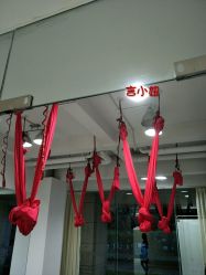 空中瑜伽-榕树上·瑜伽普拉提