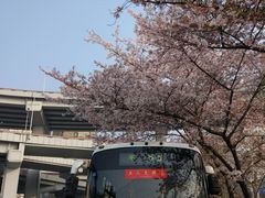 -上海南浦大桥长途旅游客运站