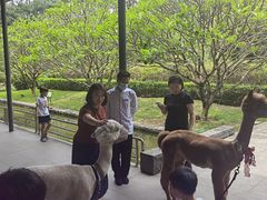 -南宁荔园维景国际酒店·荔园中餐厅