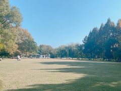 -范蠡湖公园