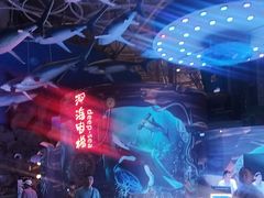 -烟台海昌鲸鲨海洋公园