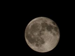 -看丹桥老头烧烤(西国贸店)