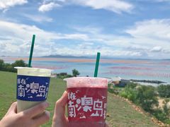 -南澳岛打卡果汁冰公司