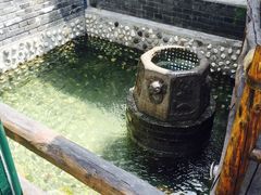 -慢丽江·云南野生菌土鸡锅(西山店)