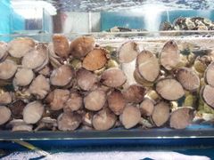 -宝湖海鲜酒家(西环店)