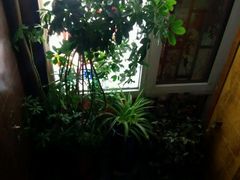 -孙三拨按摩(大纺店)
