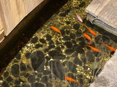 -邈墨茶馆(凤起路店)