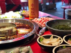 -谭鸭血老火锅(漳州路店)