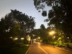 -九龙公园