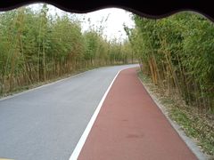 -上海长兴岛郊野公园