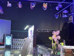 -上海JOYPOLIS环游嘉年华主题乐园