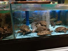 -阿伟海鲜楼·福建菜(延寿店)