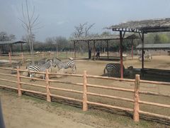 -西安秦岭野生动物园