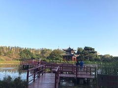 -黑龙江省森林植物园