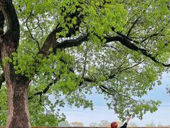 -东钱湖旅游度假区